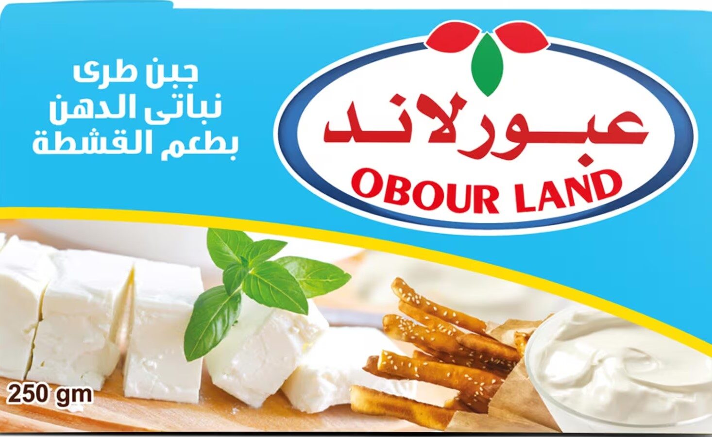 عبور لاند جبن قشطة تتراباك 250جم