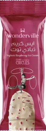 ويندرفيل ستيك زبادى توت 90مل