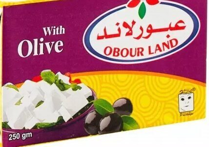 عبور لاند جبنة تتراباك زيتون 250جم
